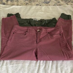 LOFT Women's Skinny Jeans in Pink and Green